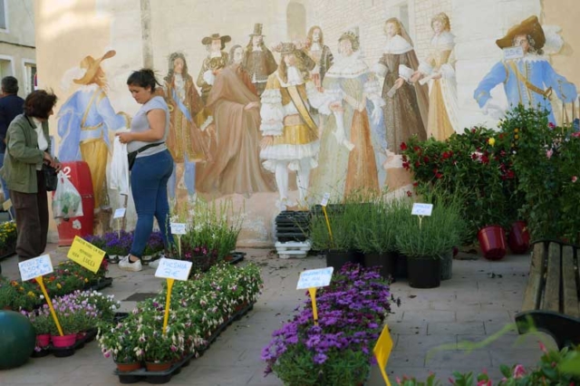 A nursery comes to Saturday market beneath another mural depicting a moment from history.