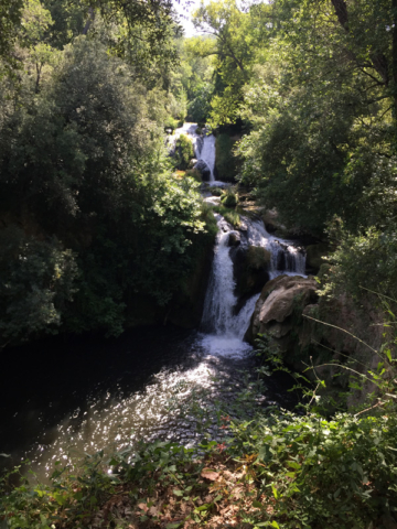 Walk toward the Lac de Carcès, take a detour to the left, and you will come upon this little waterfall.