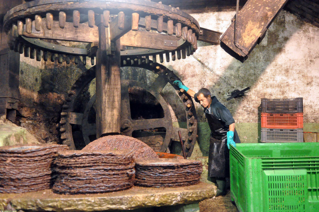 Inside the olive mill, a man prepares the wheel to begin its work.
