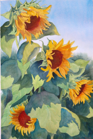 Sunflowers, by Karen Russell.